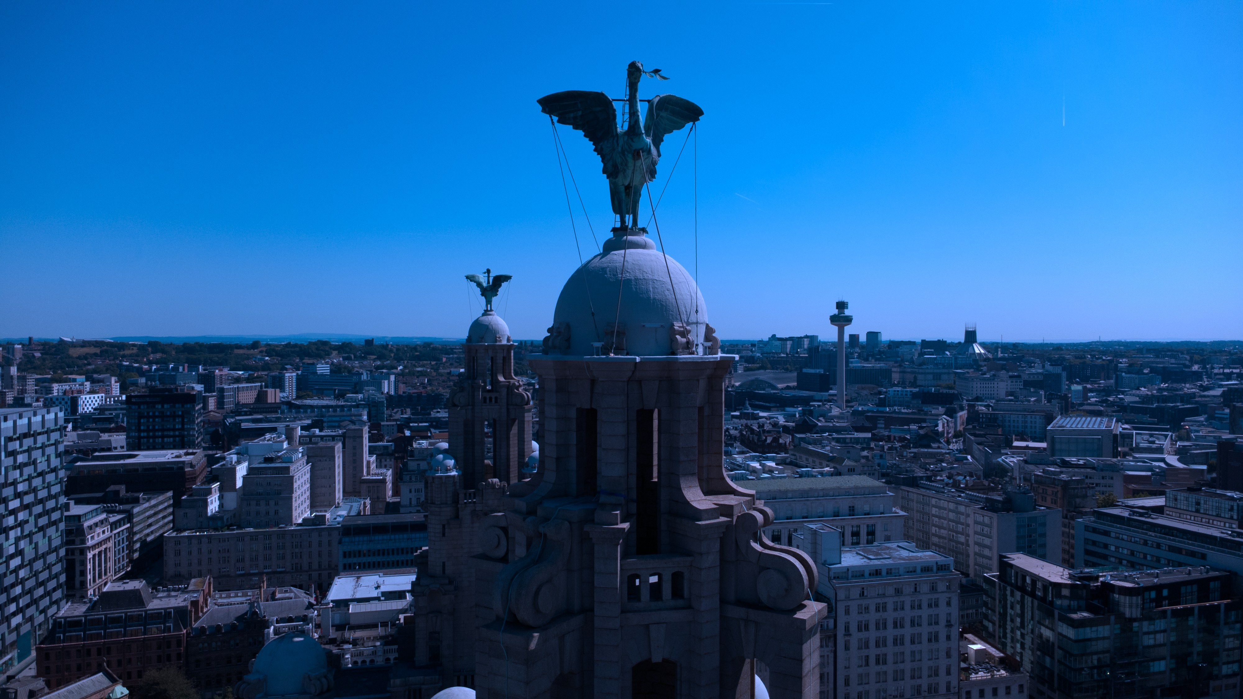 Liver Building