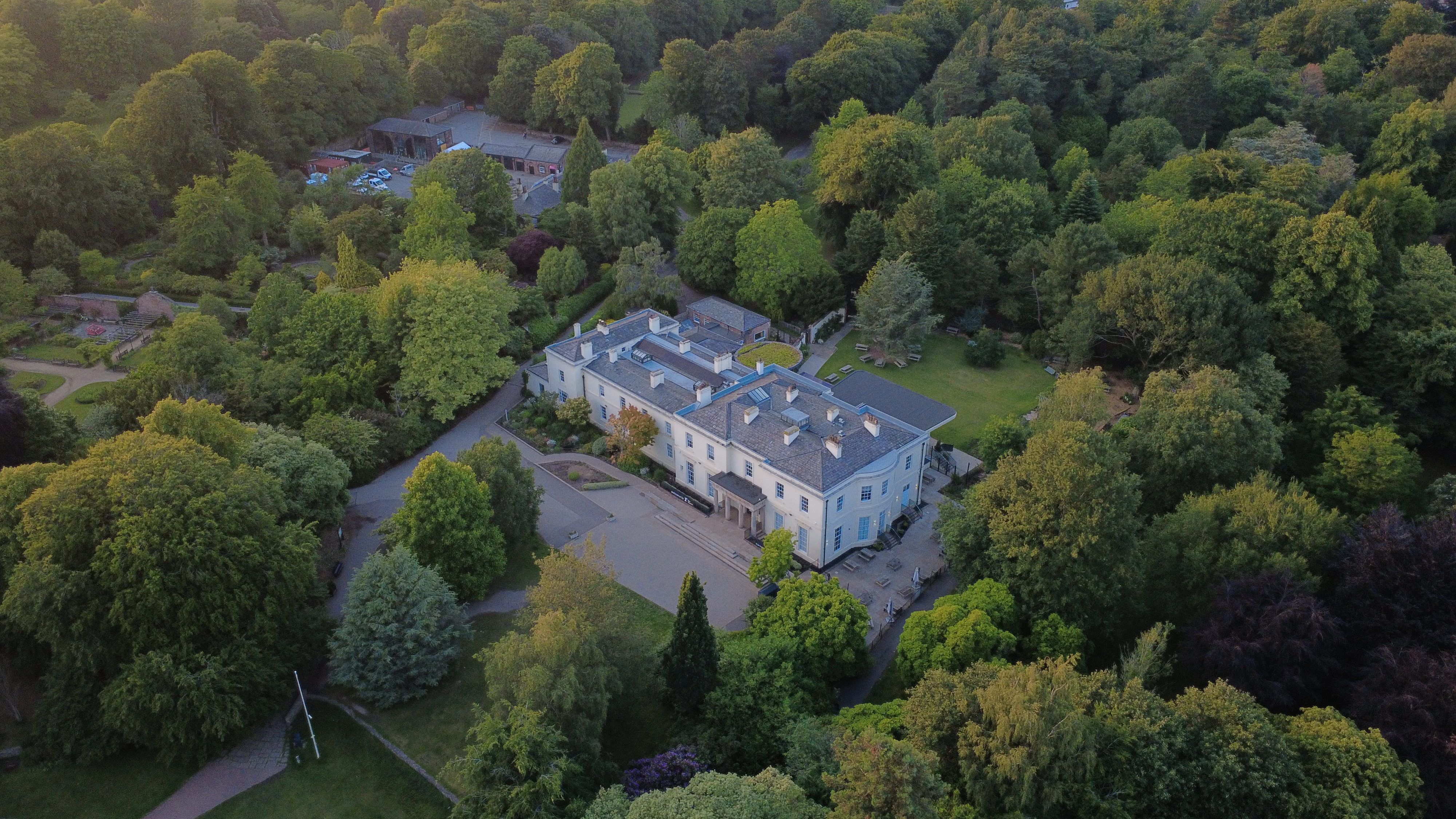 Aerial property in forest